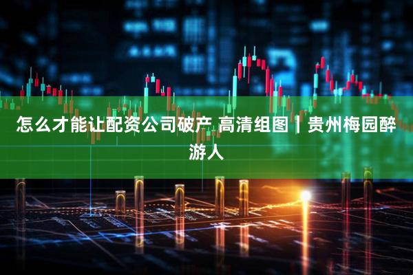 怎么才能让配资公司破产 高清组图｜贵州梅园醉游人